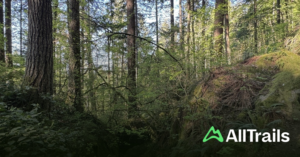 Talus Roc Talus Rocks - hikes and trails to get you there | AllTrails