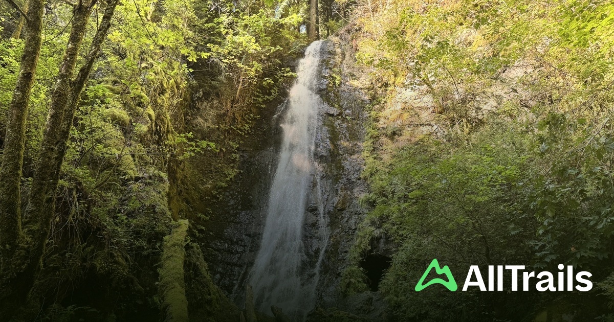 Explor Waterfall Explorer Falls Pool - hikes and trails to get you there | AllTrails