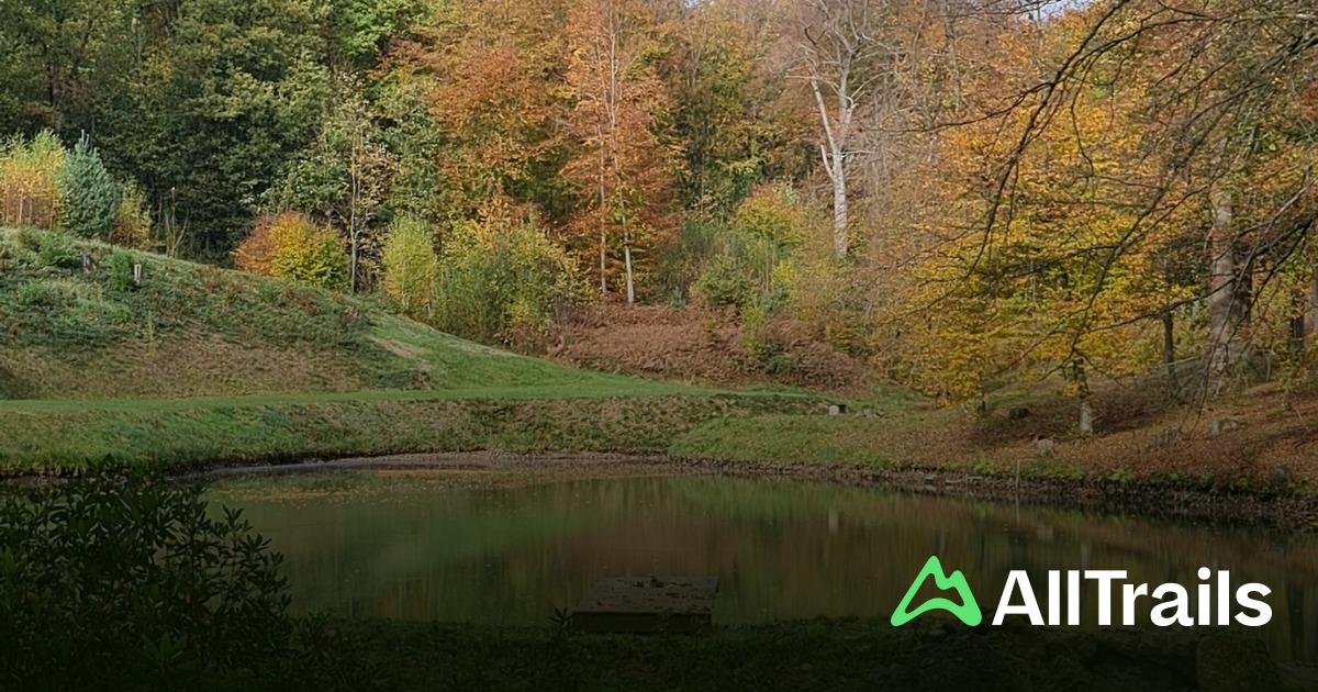 Château de Bousval : les meilleures randonnées | AllTrails