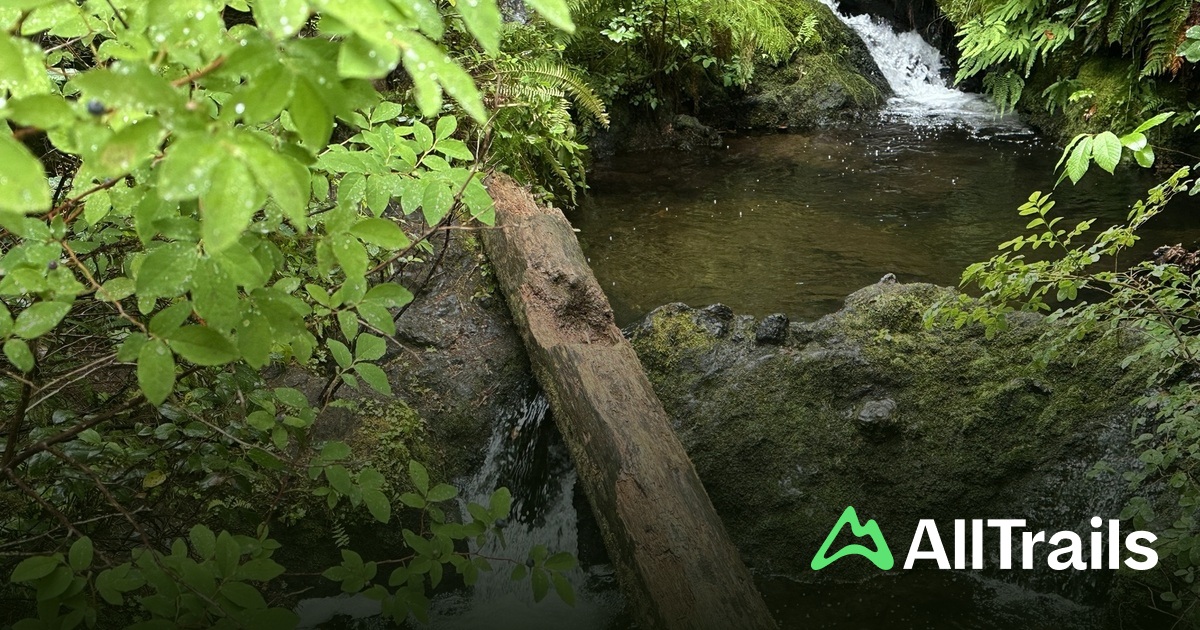 Gatton Rocks Gatton Creek Campground - hikes and trails to get you there | AllTrails