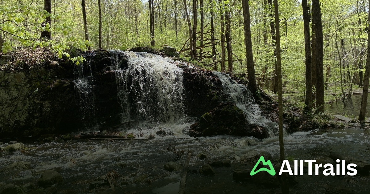 Botts Pond - hikes and trails to get you there | AllTrails
