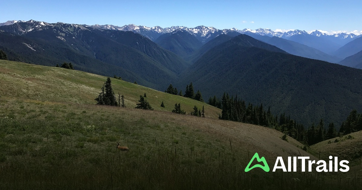 Hurrizan Ridge Hurricane Ridge - hikes and trails to get you there | AllTrails