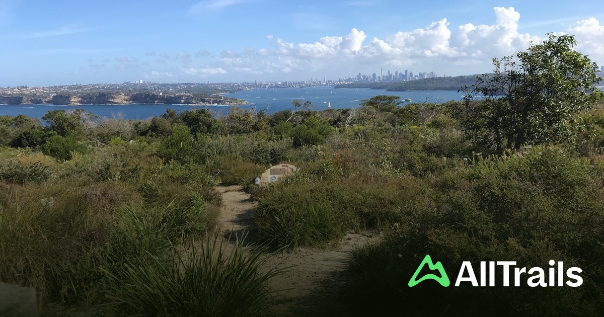 As melhores trilhas perto de Cabbage Tree Bay | AllTrails