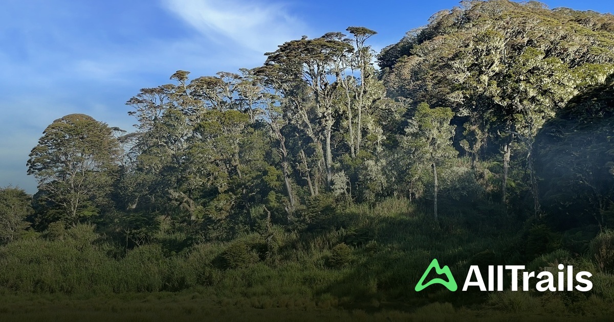 Bacoco Falls - hikes and trails to get you there | AllTrails