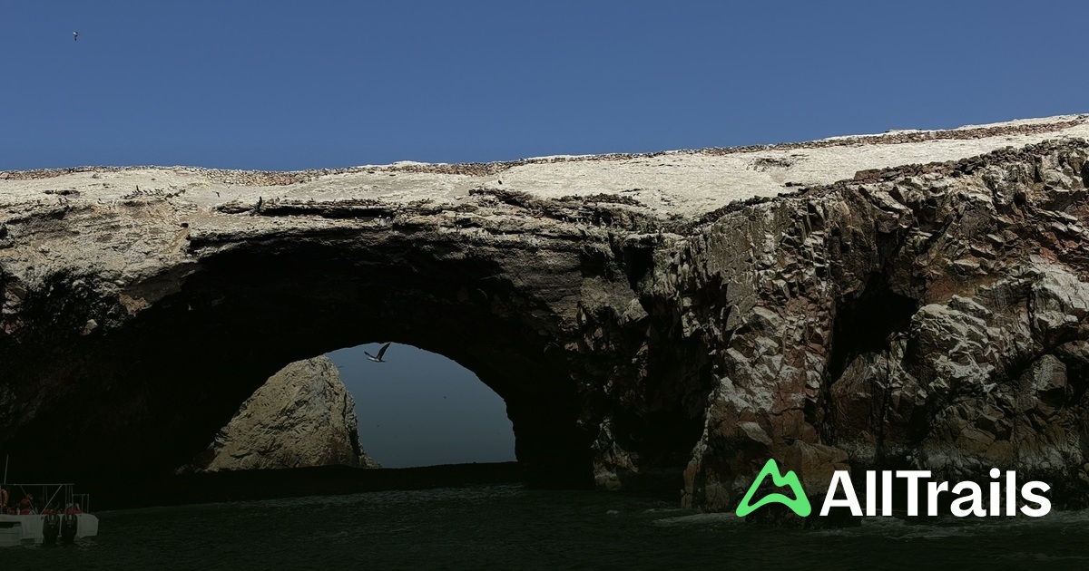 Ballestas Islands - hikes and trails to get you there | AllTrails