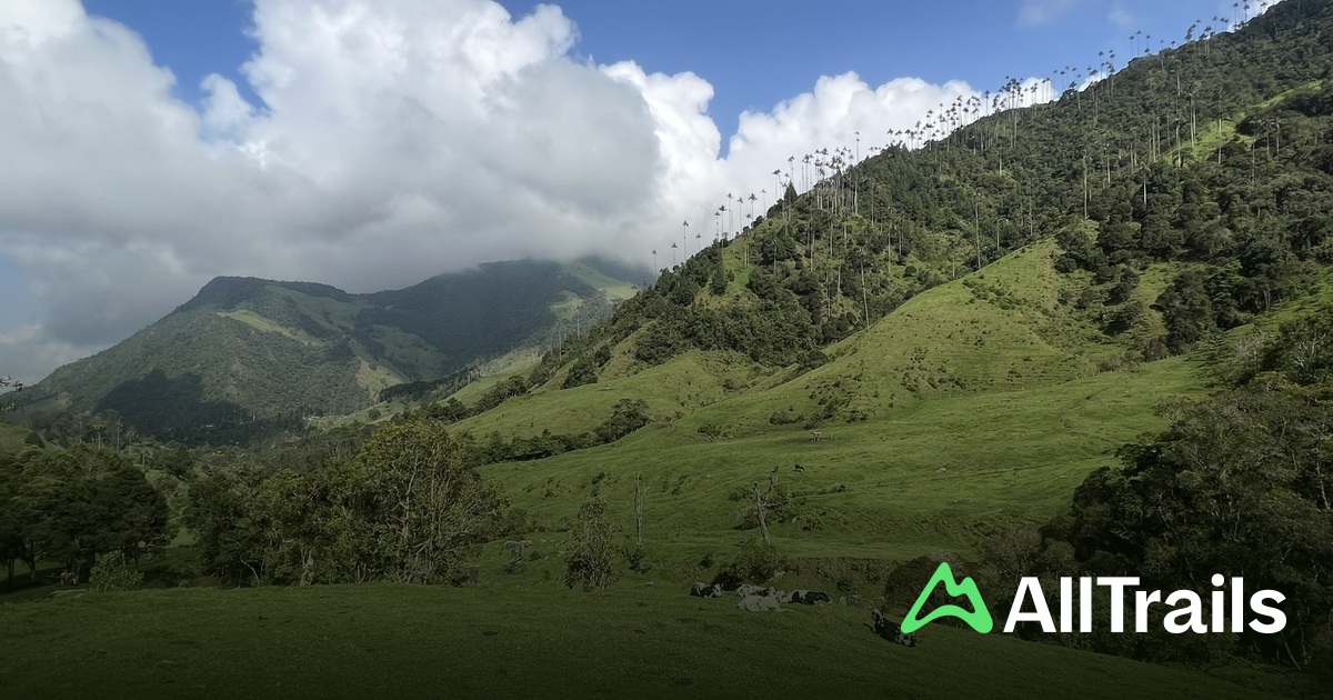 El Calvito - hikes and trails to get you there | AllTrails