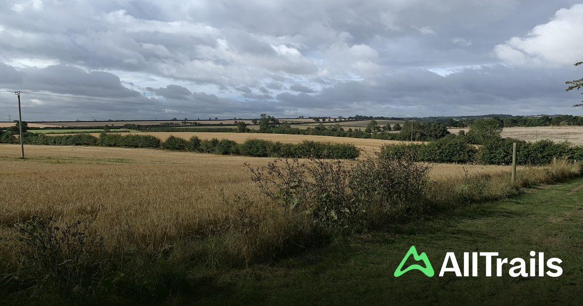 Best trails near Grayburn Garden House | AllTrails