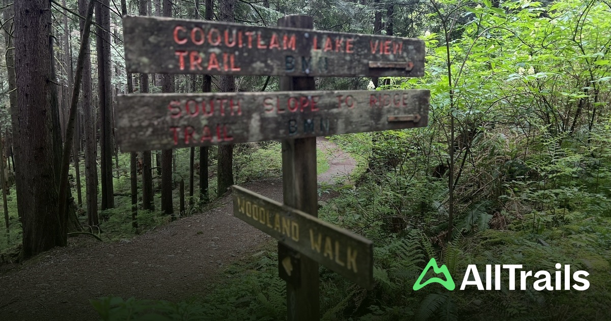 Ted Kay Lake - hikes and trails to get you there | AllTrails