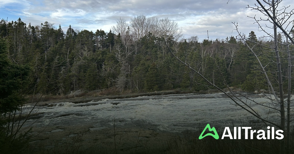 Manuel's River Trail - hikes and trails to get you there | AllTrails
