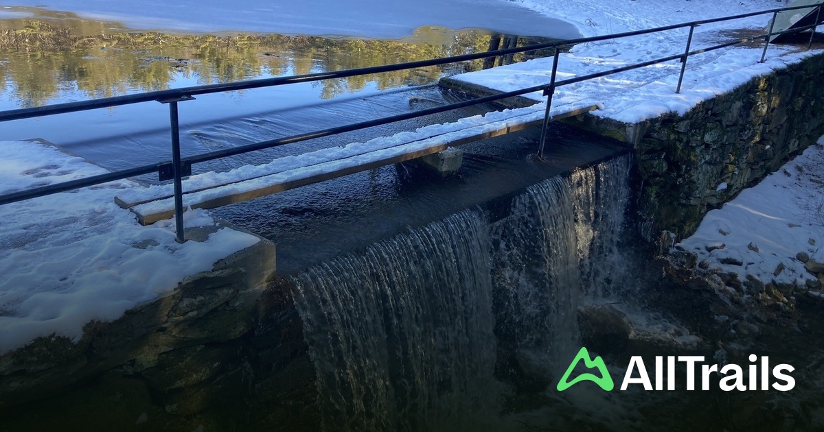 Drew Ruggles Ruggles Pond - hikes and trails to get you there | AllTrails