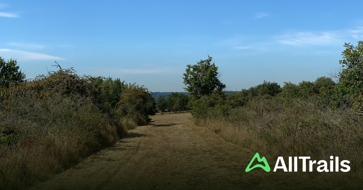 Point de vue de la Croix Chaumont - hikes and trails to get you there ...