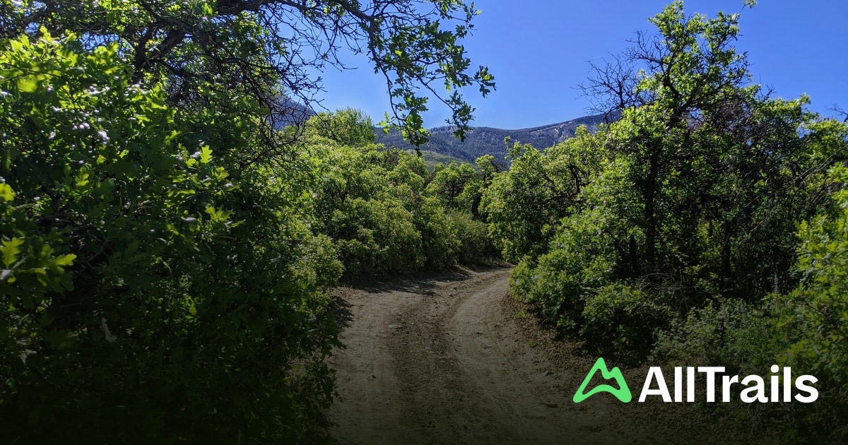 Stephens Spring - hikes and trails to get you there | AllTrails