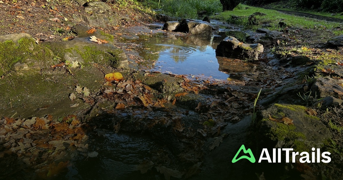Best trails near Clock Tower | AllTrails