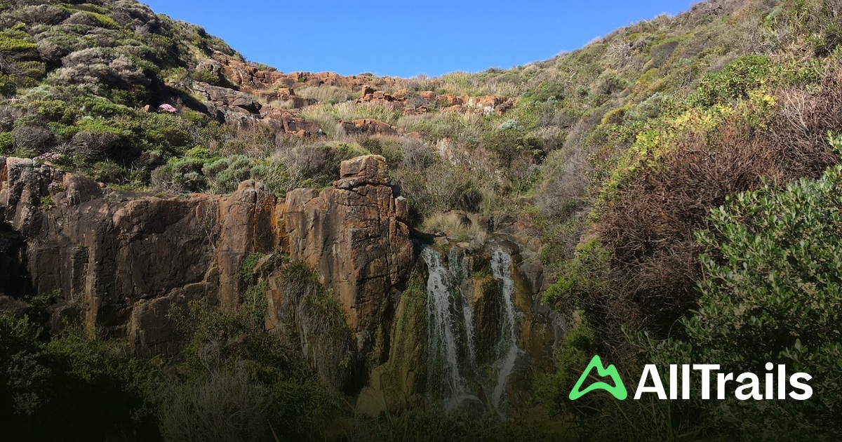 Ali's View - hikes and trails to get you there | AllTrails