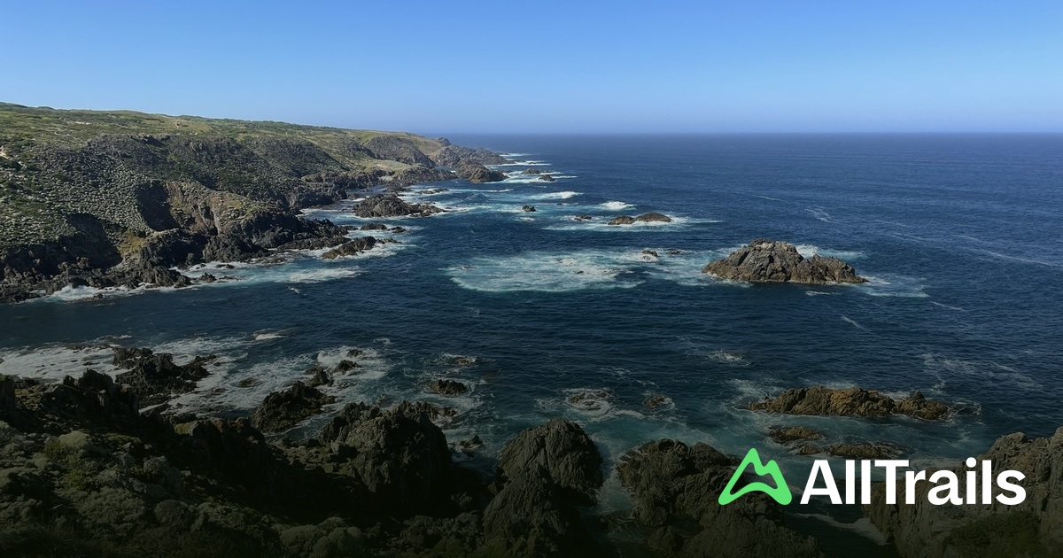 Seal Rocks Lookout - hikes and trails to get you there | AllTrails