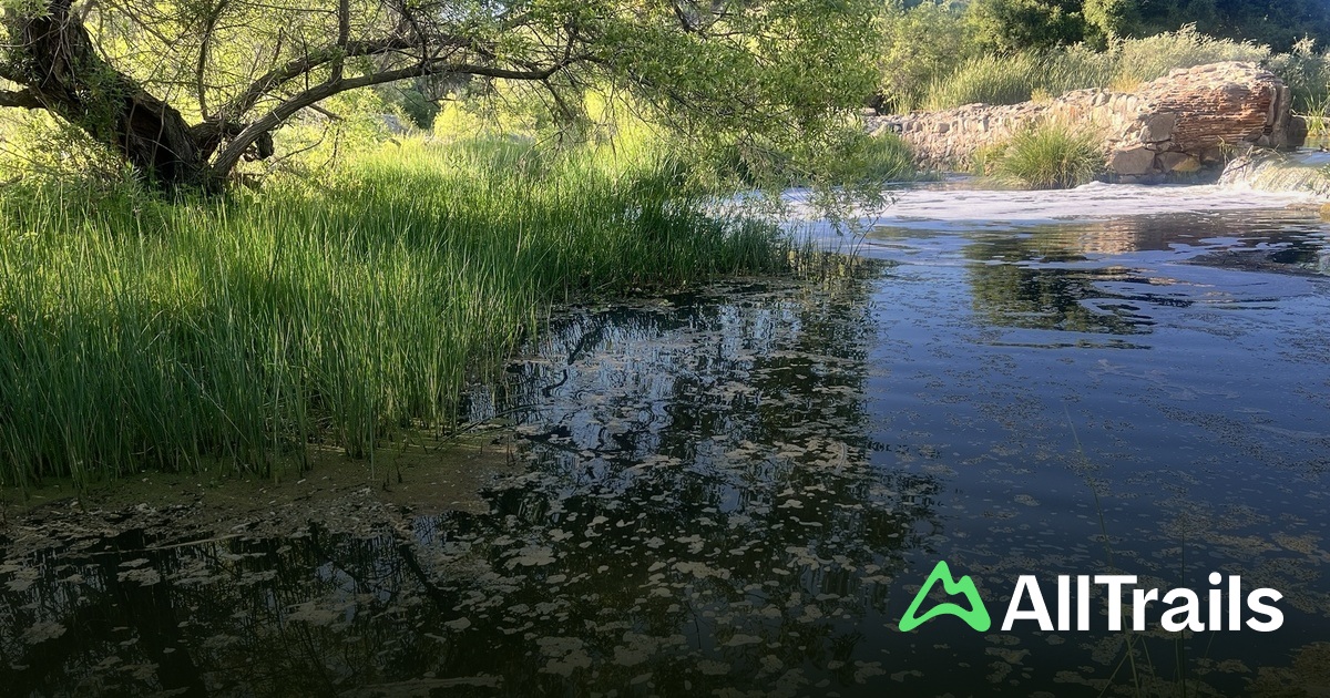 Mariposa Gulch hikes and trails - Us California San Diego Mariposa Gulch 2569171 20250611154739294436 1200x630 3 41749756349 