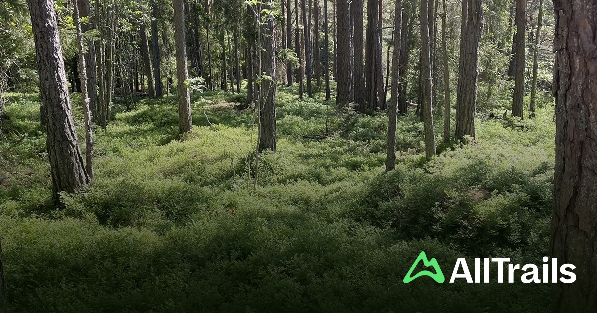 Greåker fort - hikes and trails to get you there | AllTrails