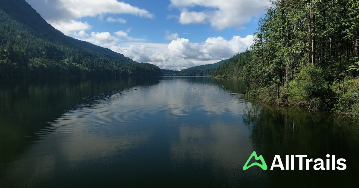 117 Lookout hikes and trails - Canada British Columbia West Vancouver 117 Lookout 2590761 20250208153744760027 1200x630 3 41739110812 