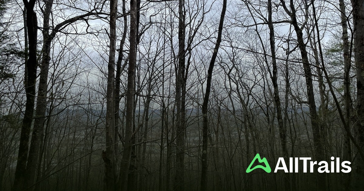 Tipping Rock - hikes and trails to get you there | AllTrails