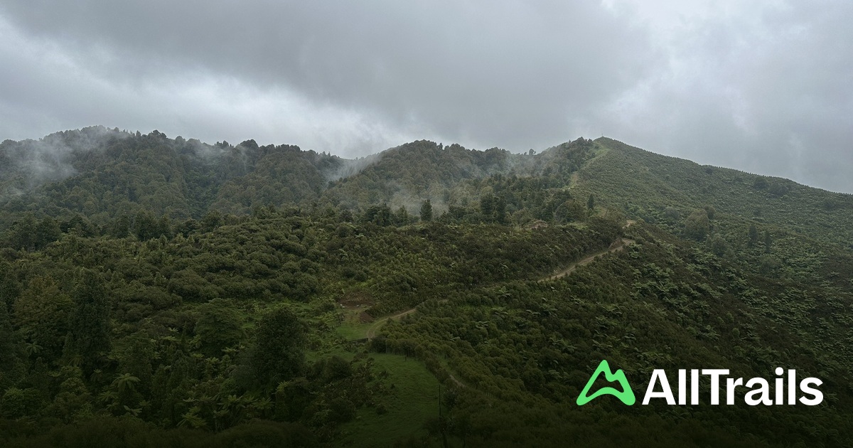 Hamilton Hut Hamilton Tomo Group Hut - hikes and trails to get you there | AllTrails