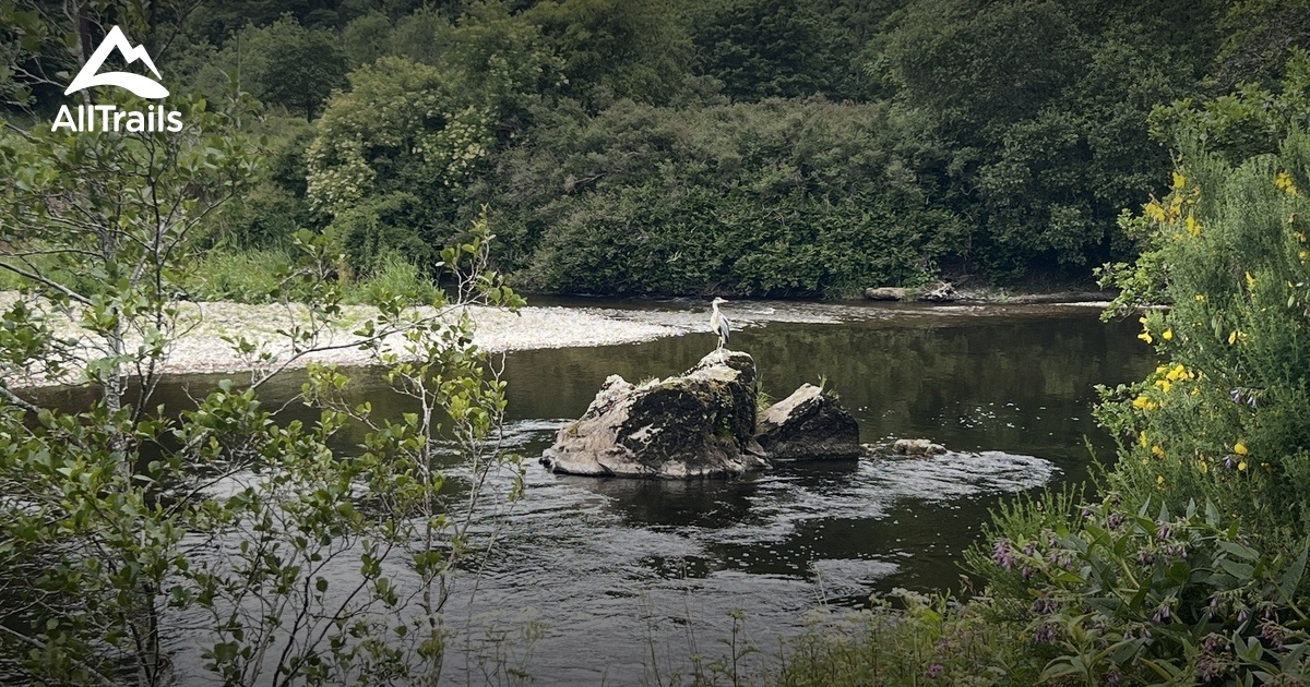 Hamilton Hill - hikes and trails to get you there | AllTrails