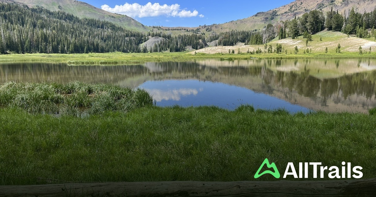Sentinel Hiking Sentinel Peak - hikes and trails to get you there | AllTrails