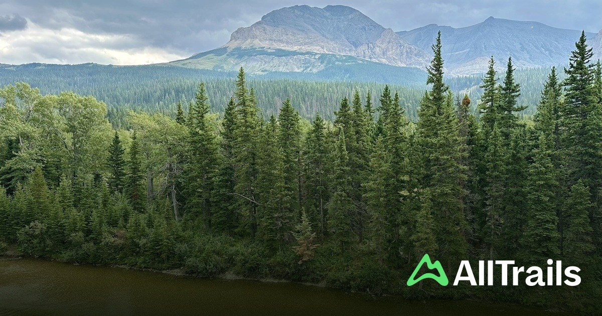 Cut Bank - hikes and trails to get you there | AllTrails