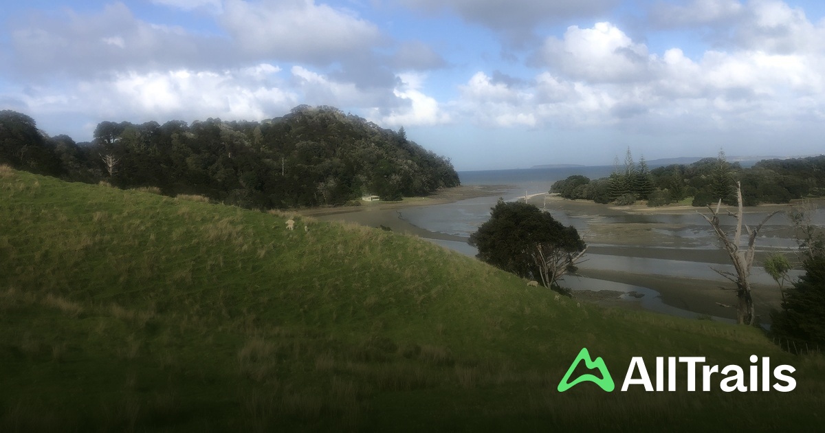 Pūhoi - hikes and trails to get you there | AllTrails