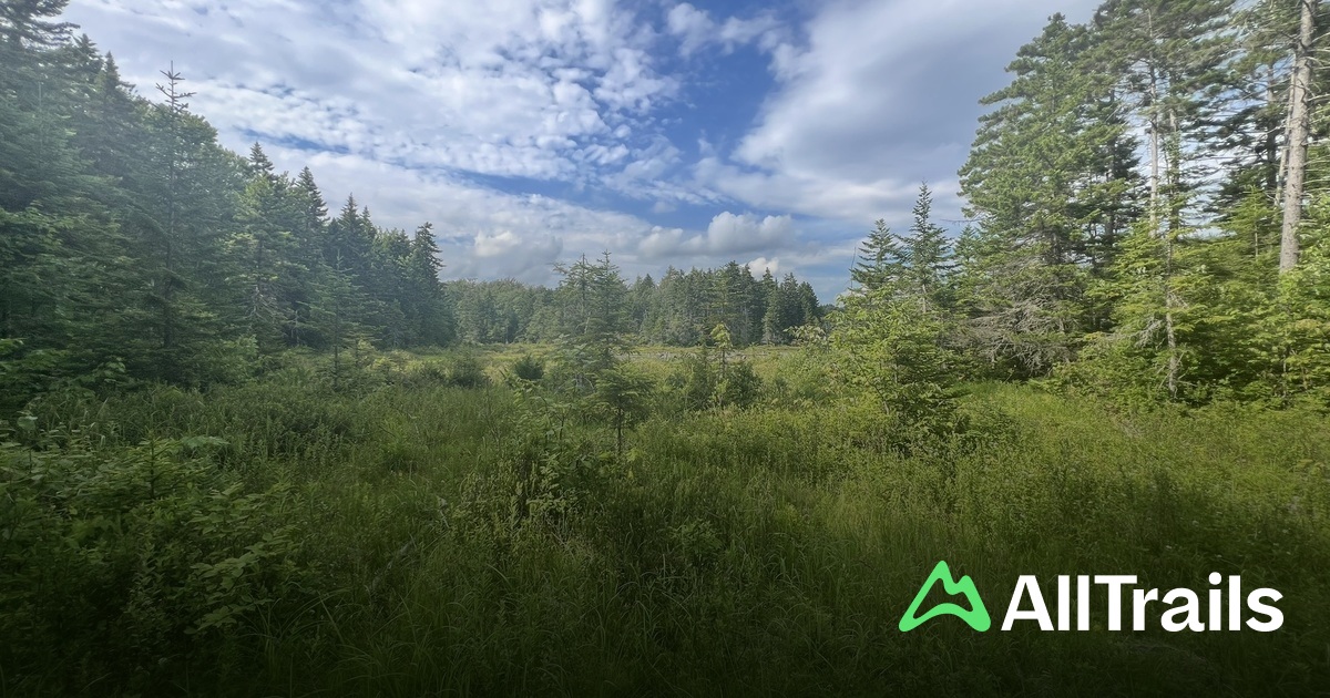 Grout Pond Recreation Area - hikes and trails to get you there | AllTrails