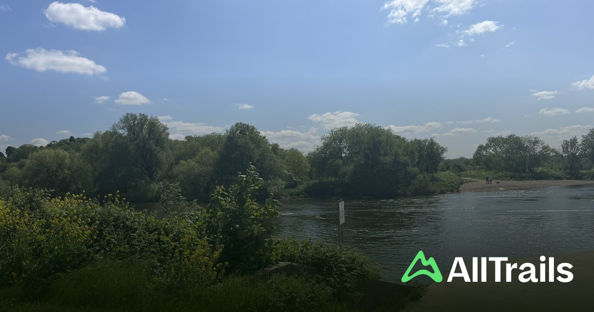 Foraging Area - hikes and trails to get you there | AllTrails