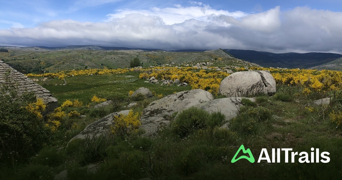 Signal du Bougès - hikes and trails to get you there | AllTrails