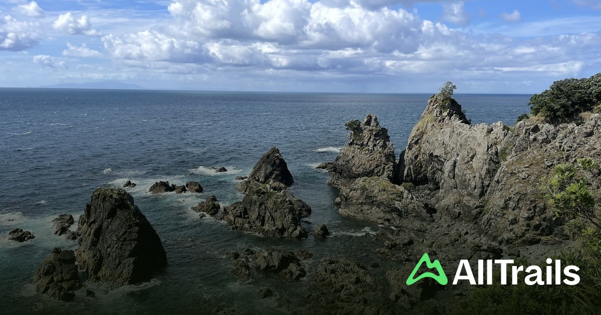 Tokatu Loop Track Tokatū Point Lookout 2 - hikes and trails to get you there | AllTrails