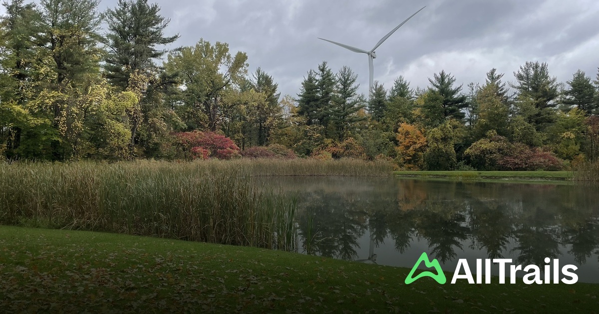 Arkwright Camp Pond - hikes and trails to get you there | AllTrails