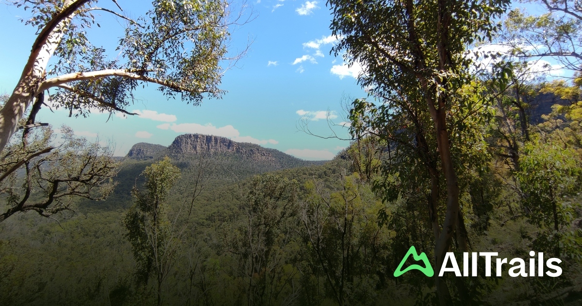 Wattle Ridge Emmetts Flat - hikes and trails to get you there | AllTrails
