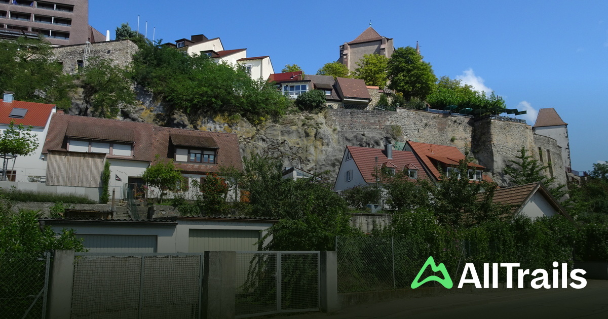 Rhine hikes and trails to get - Germany Baden Wurttemberg Wyhl Le Rhin Rhein 2805053 20250709154832772824 1200x630 3 41752186432