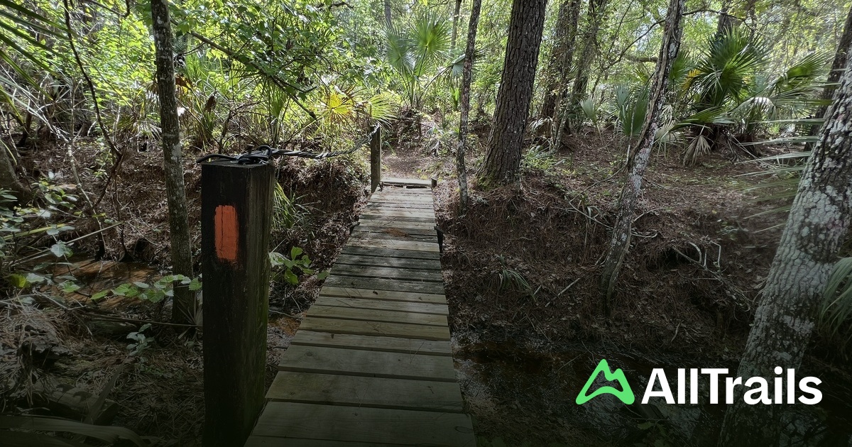 Withlacoochee River hikes and - Us Florida Inverness Withlacoochee River 2807634 20250709151740012023 1200x630 3 41752184470 
