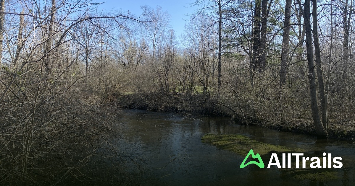 Thorington Lake hikes and trails - Us Michigan Washington Thorington Lake 2827687 20250709160924415859 1200x630 3 41752196361