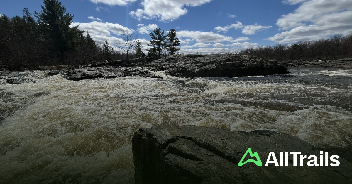 Eau Claire River hikes and trails - Us Wisconsin Fall Creek Eau Claire River 2830506 20250710152403310102 1200x630 3 41752257973
