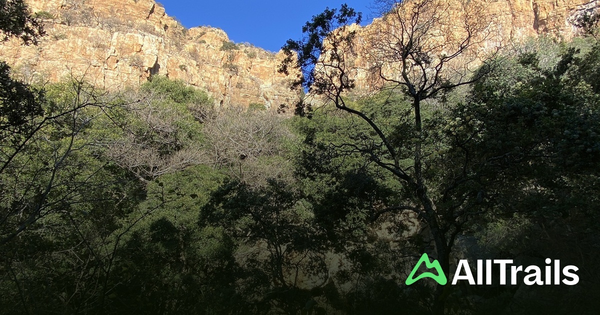 rustenburg-kloof-hikes-and-trails-to-get-you-there-alltrails