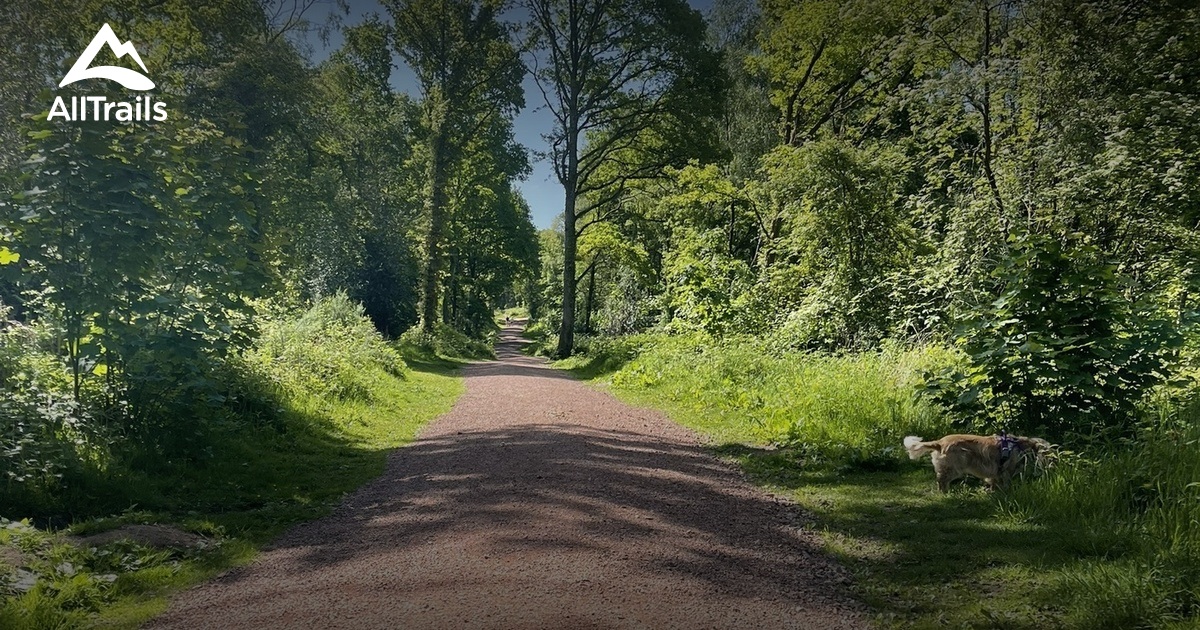 Kinver Stream 10 Best trails near Kinver Edge | AllTrails