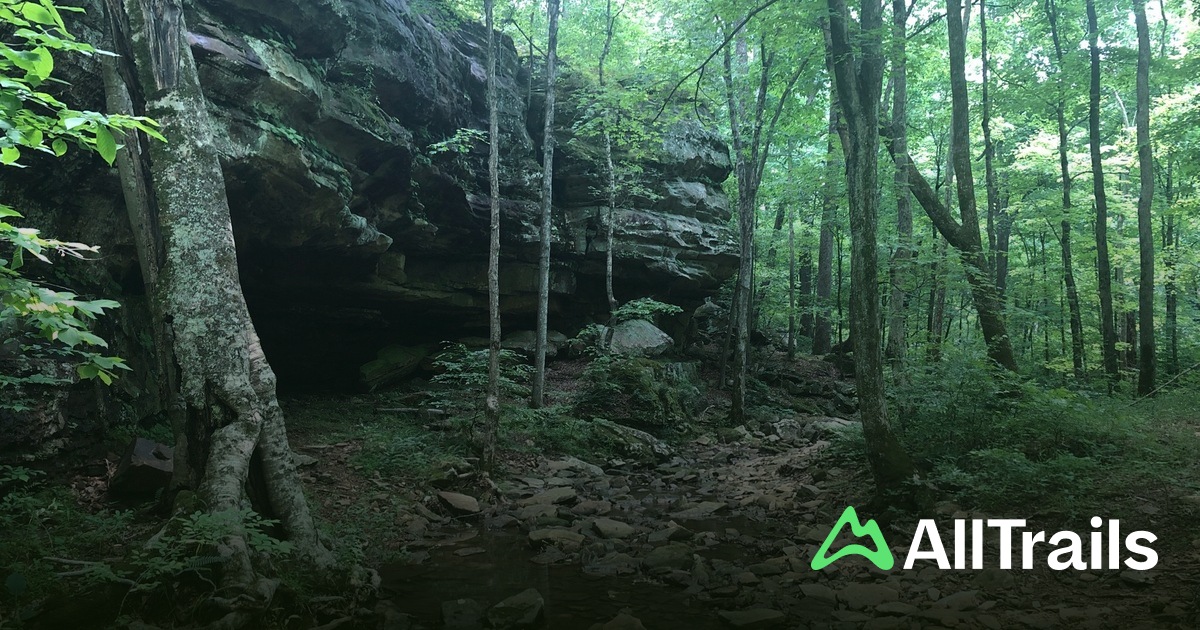 Saltpter Saltpeter Cave - hikes and trails to get you there | AllTrails