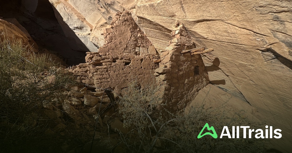 Butler Wash Ruins - hikes and trails to get you there | AllTrails