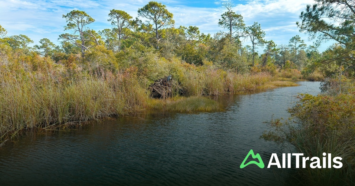 Gun Mount hikes and trails to - Us Florida Pensacola Beach Gun Mount 2 2920756 20250711151851286978 1200x630 3 41752344317 