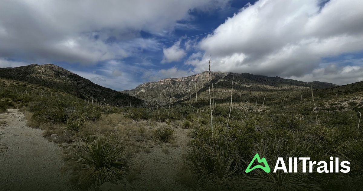 Wilderness Ridge Wilderness Campground - hikes and trails to get you ...