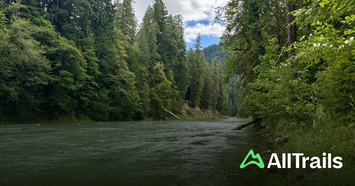 Cispus River - hikes and trails to get you there | AllTrails