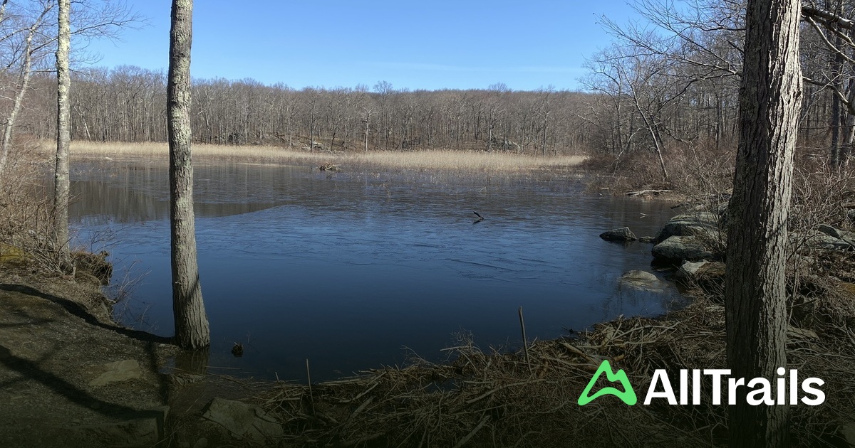 Morris Point Map Morris County High Point - hikes and trails to get you there | AllTrails