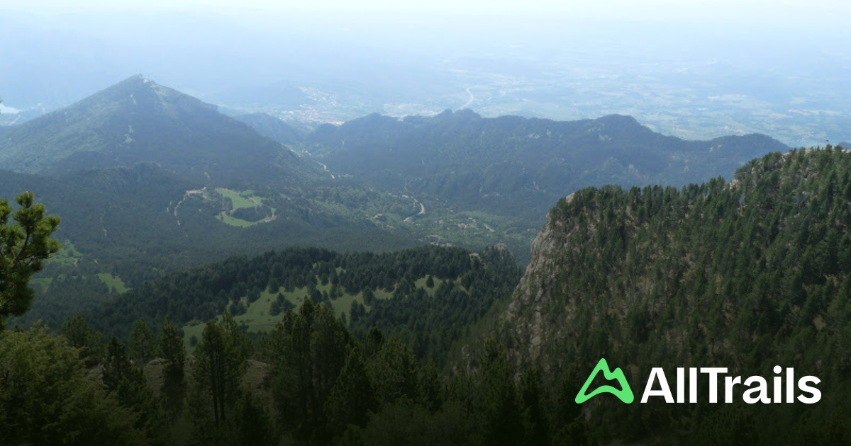 Avenc de la Nevera de Puigvent s - Spain Barcelona Castellar Del Riu Avenc De La Nevera De Puigventos 2970209 20250712151243901498 1200x630 3 41752429058 