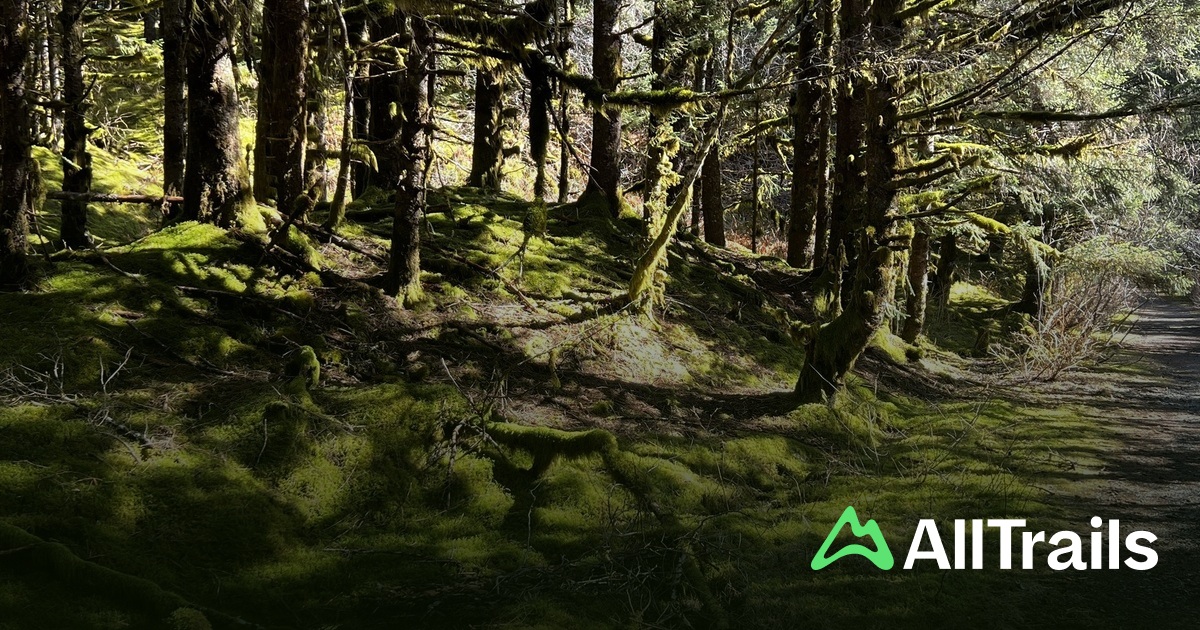 Buskin Beach - hikes and trails to get you there | AllTrails