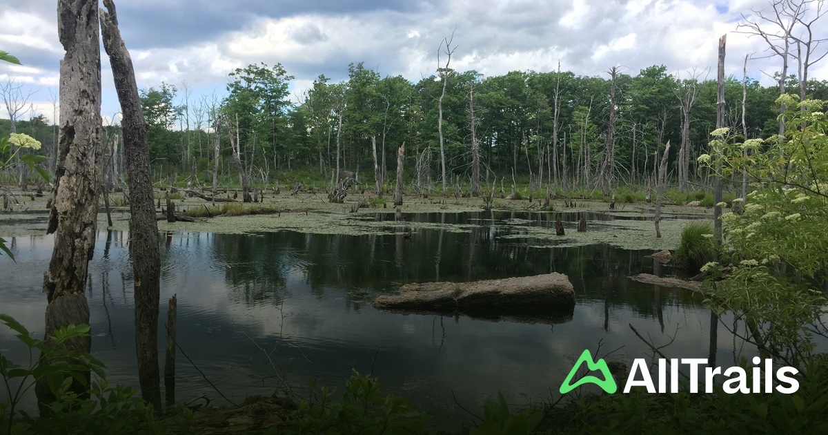 Clinton Brook Valley hikes and - Us New Jersey West Milford Clinton Brook Valley 2973536 20250712151217790292 1200x630 3 41752423316