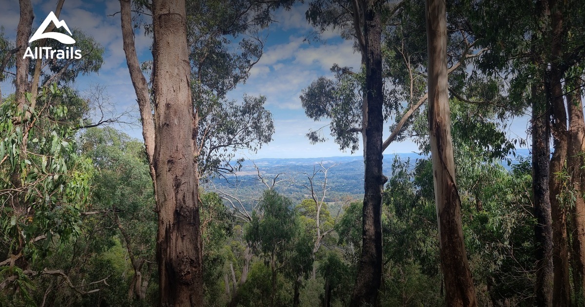 Mount Riddell - hikes and trails to get you there | AllTrails